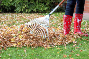 Gartenarbeit-Aussenreinigung Bild1